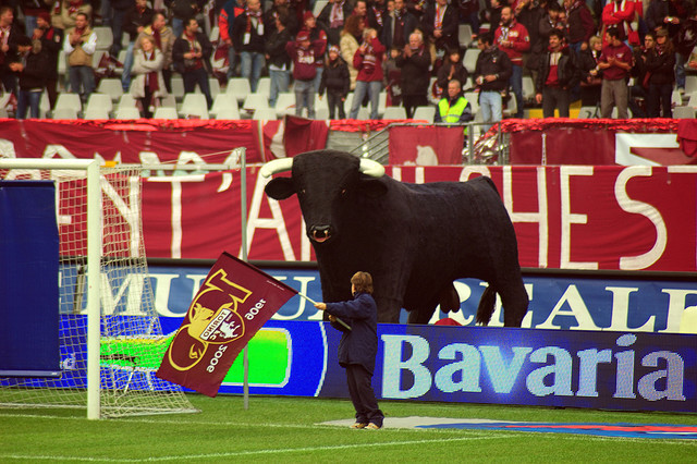 A Torino FC kabalaállata a bika az olasz csapat mérkőzése előtt.